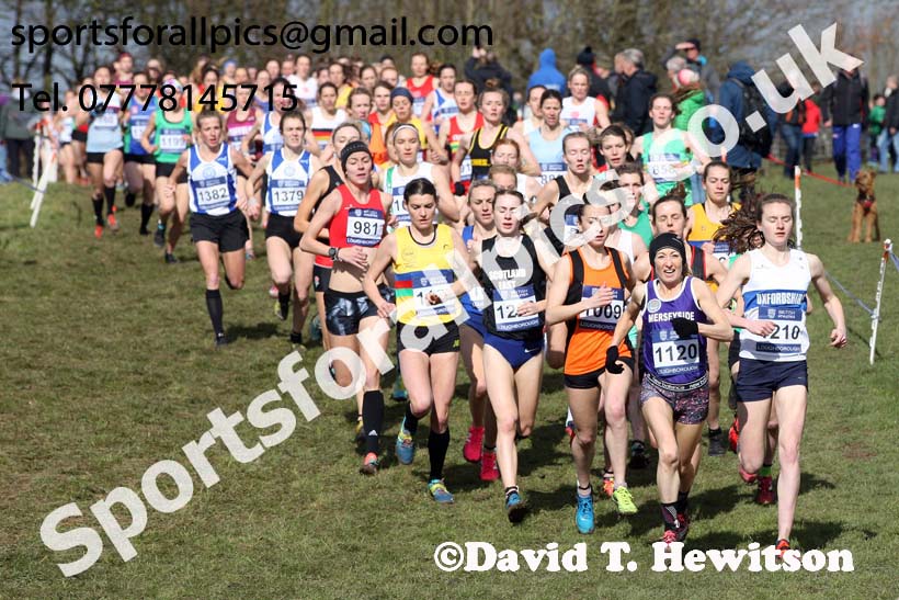 Senior womens 2019 British Athletics Inter Counties Cross Country, Prestwood Hall, Loughborough. Photo:  David T. Hewitson/Sports for All Pics